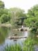Central Park Turtles & Goose Pond Vertical